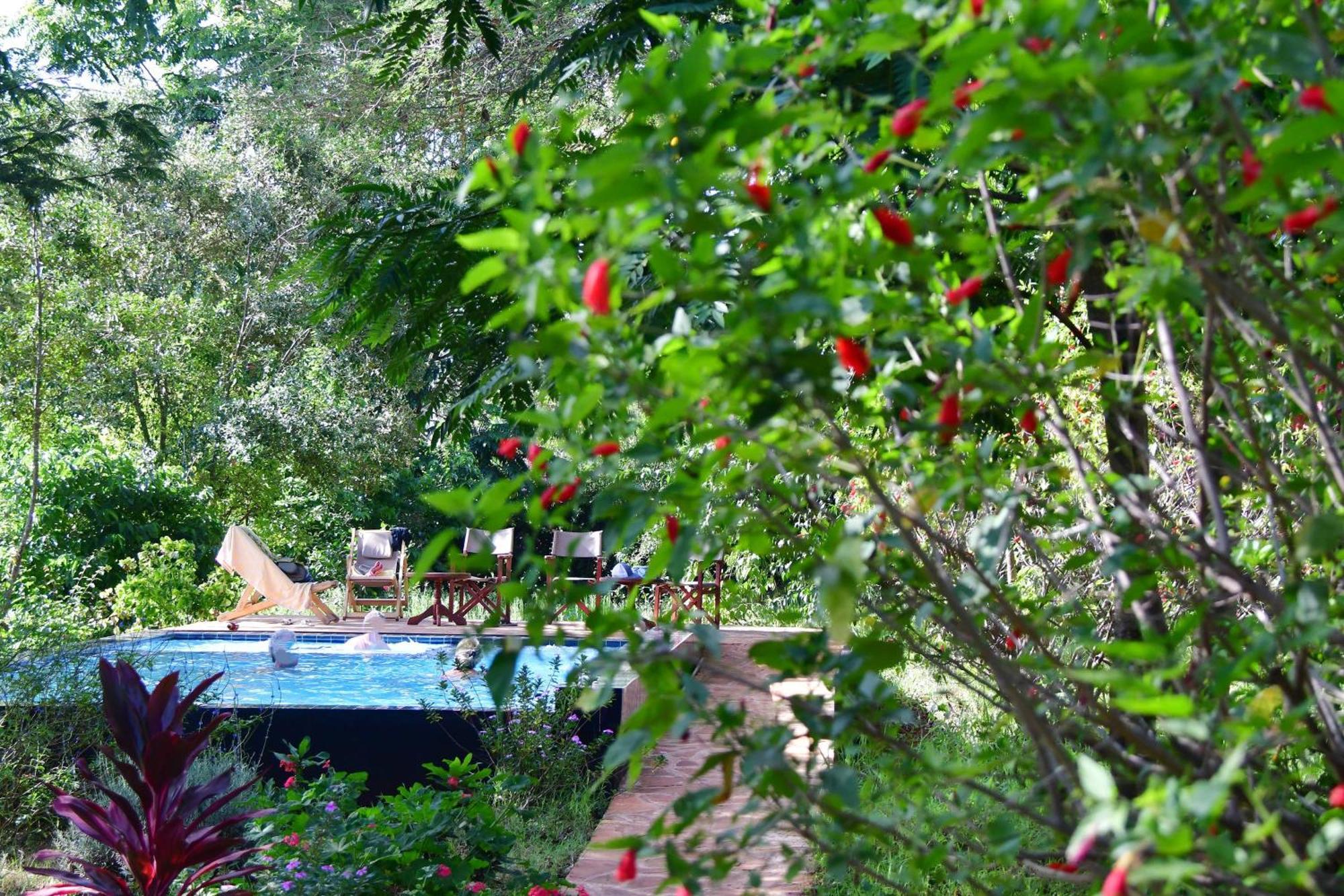 Tanzanice Farm Lodge Karatu Exterior photo